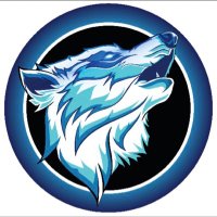 sirrwolfy(@sirrwolfy) 's Twitter Profile Photo