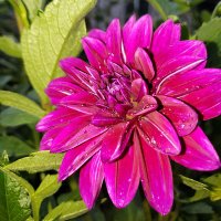 Shara (@sharalarson007) 's Twitter Profile Photo