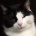 Katelyn Walters (@katelyn61409576) Twitter profile photo Katelyn Walters (@katelyn61409576) Twitter profile photo