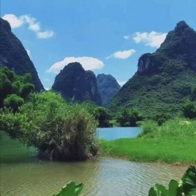 yunyzhushnhu1's profile picture. 