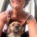 Stefy Bacciarini (@stefypumpkin) Twitter profile photo Stefy Bacciarini (@stefypumpkin) Twitter profile photo