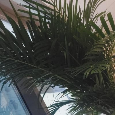 murtazamaqboolk's profile picture. 