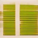 Crystal Bowles - @Crystal17671438 - Twitter