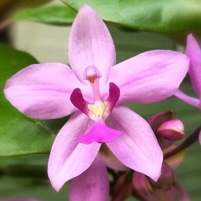 James_Jeed's profile picture. ✨ ขอจงยึดมั่นในสิ่งที่เชื่อ ไขว่คว้าให้ได้มา และเดินหน้าต่อไป ~🙏🏻✌🏻👉🏻😊💛🌹🌸💮🪻🌻🌈🌿✨