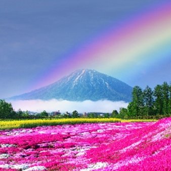 世界の綺麗な風景、感動する景色、自然、花、空の画像をお届けしています（心躍ったら RT、いいねお願いします ）