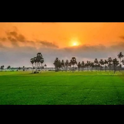 IntAyodhya's profile picture. OK