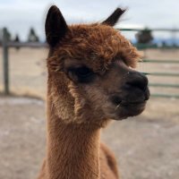 de_zarc (@de_zarc) 's Twitter Profile Photo de_zarc (@de_zarc) 's Twitter Profile Photo