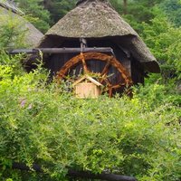 Kazu@Videographer (@kazu8786) Twitter profile photo