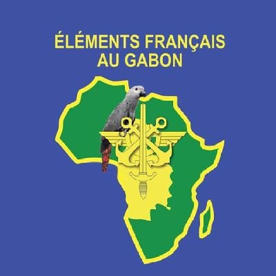 Page officielle des Éléments français au Gabon.
Pôle opérationnel de coopération, les EFG proposent des formations aux armées des États d’Afrique centrale.