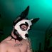๐ฏ๐๐๐๐ (@dogdaemon) Twitter profile photo ๐ฏ๐๐๐๐ (@dogdaemon) Twitter profile photo