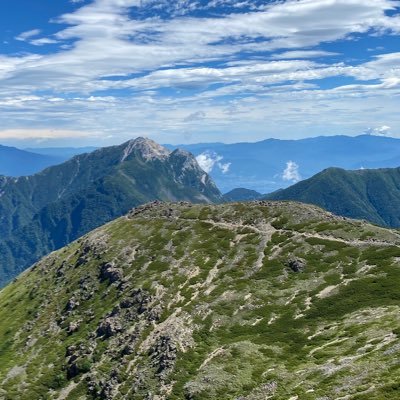 futa_zzz's profile picture. 🥕 🍹