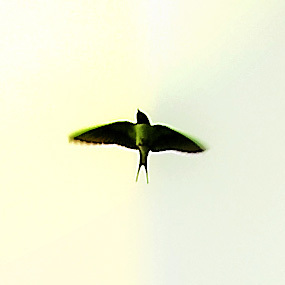 Unshaped's profile picture. Music composer & sounddesigner