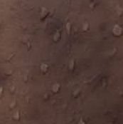 sri1333's profile picture. 