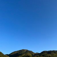 額田 (@hgivbb) 's Twitter Profile Photo