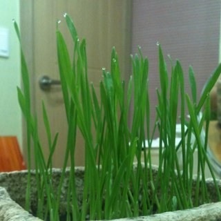 yeilpibu's profile picture. 발랄한 시작입니다. 한번 와서 진단받아보세요. 좋은느낌받으실꺼예요오