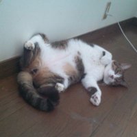 ミムラ (@ootake0708) Twitter profile photo