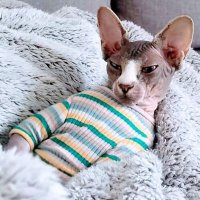 Mamatz (@m_a_m_a_t_z) 's Twitter Profile