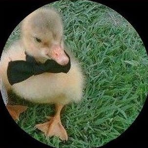 helpfull_'s profile picture. 