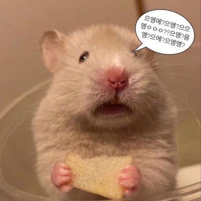 미성년자 입니다 확인하고 와주세요🥰