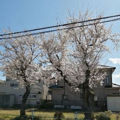 白鴎大学経営学部
Eクラス