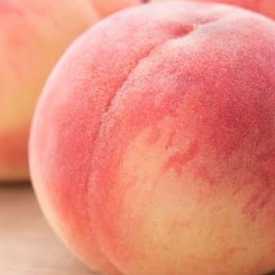 bonbondino's profile picture. 