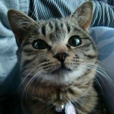 no_hay_de_que's profile picture. 不定期の大喜利参加と
日々載せる花を探して歩くおじさんです。
一身上の都合で絵文字は使えません。
あと初対面の方のDMには反応しません。