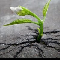 Sebastian Jakubowski (@sebeksebastos) 's Twitter Profile Photo