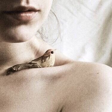 bilmiramki's profile picture. 