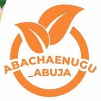 Abachaenugu1 Abuja(@abachaenugu1) 's Twitter Profile Photo