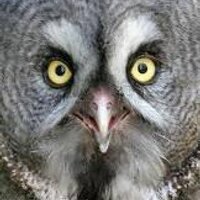 Mark Hazlehurst (@runner_mark) 's Twitter Profile