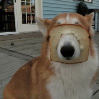 pauline (@paulchenpandaa) 's Twitter Profile