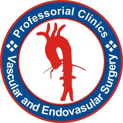 Professorial Clinics Vascular Surgery