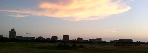 VIPbcstx's profile picture. Telling truth in @CityofCS