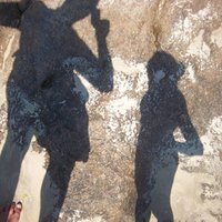SuDiEstefanoff (@suestefanoff) 's Twitter Profile