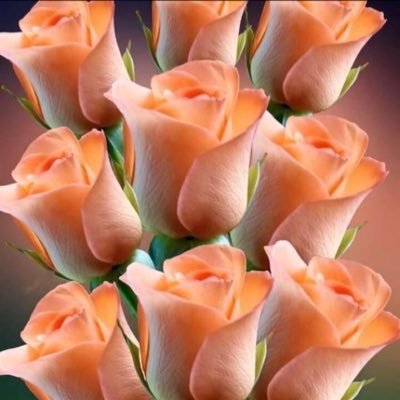 Marie79508595's profile picture. 