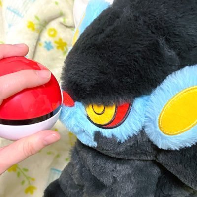 ぺきさんのプロフィール画像