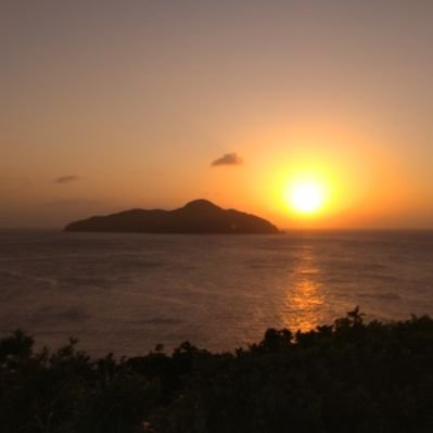 yumenoato_td's profile picture. 雑多 好きなものに忠実に生きたい 20↑