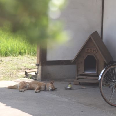 tomoki301's profile picture. 