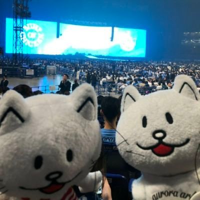 のえさんのプロフィール画像