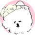 じゅん (@kametan_jun) Twitter profile photo じゅん (@kametan_jun) Twitter profile photo