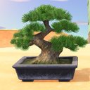 bonsai_0107