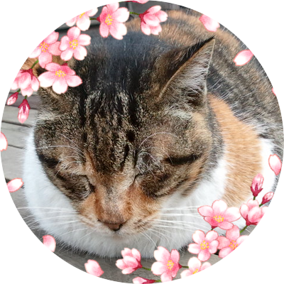 てりさんのプロフィール画像