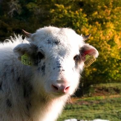 FelTUTCSAI2021's profile picture. モンスト、FGOやってはいます。
主観で話すから情報の信憑性に責任は一切取らない