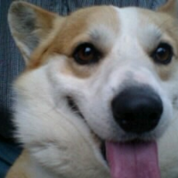 ζ
§π°π©΅ (@lily__n) 's Twitter Profile