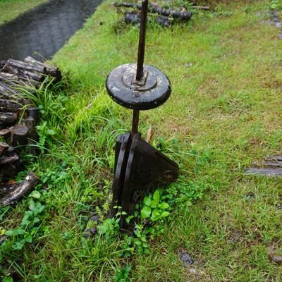 waseriさんのプロフィール画像