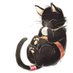 まっくろなねこ (@blackcat009) Twitter profile photo まっくろなねこ (@blackcat009) Twitter profile photo