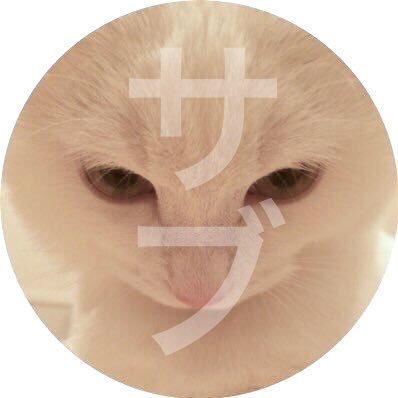 hakusama0906sub's profile picture. 本垢(@hakusama0906)