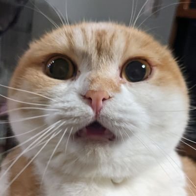 ほぺ