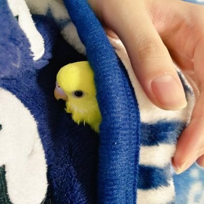 M ü k ü {ゲーム垢さんのプロフィール画像