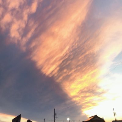 Riyu_さんのプロフィール画像